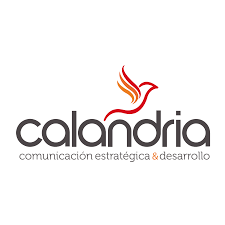 Proyecto 3